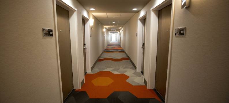 辛辛那提-布鲁艾施欢朋酒店(Hampton Inn Blue Ash Cincinnati)图片