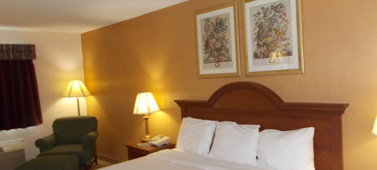 威尔明顿罗亚尔顿套房酒店(Royalton Inn and Suites, Wilmington,Ohio)图片