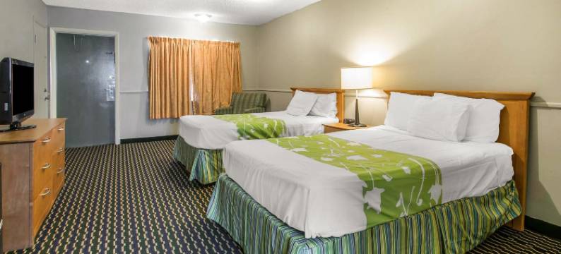 温特黑文湖泊群罗德威套房旅馆(Rodeway Inn & Suites Winter Haven Chain of Lakes)图片