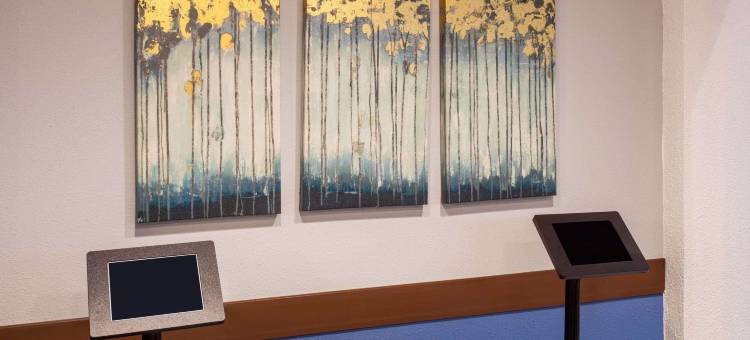 杰克逊维尔-巴特勒大道呗盟套房酒店(Baymont by Wyndham Jacksonville/Butler Blvd)图片