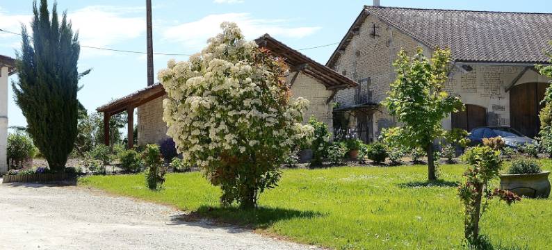 老诺亚住宿加早餐旅馆(Le Vieux Noyer)图片