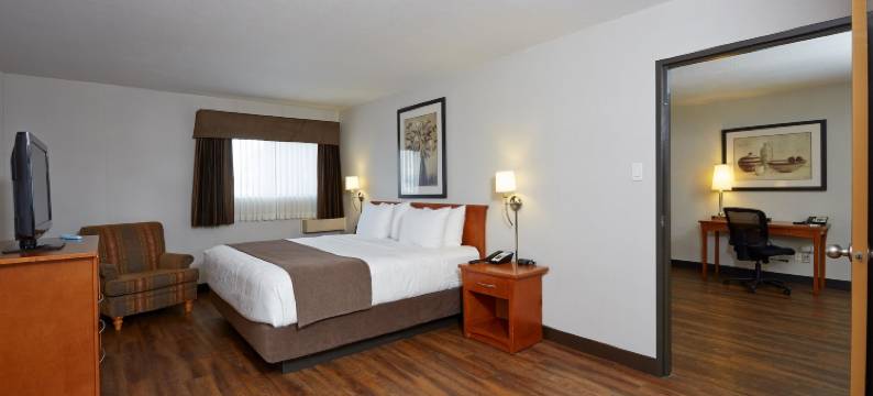 凯艺套房酒店(Quality Inn & Suites)图片