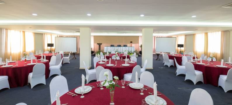 巨港半岛酒店(Sintesa Peninsula Hotel Palembang)图片