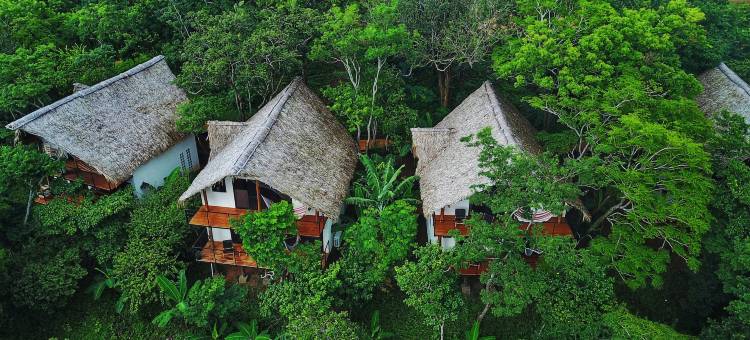 树屋酒店和度假村(TreeCasa Hotel & Resort Nicaragua)图片