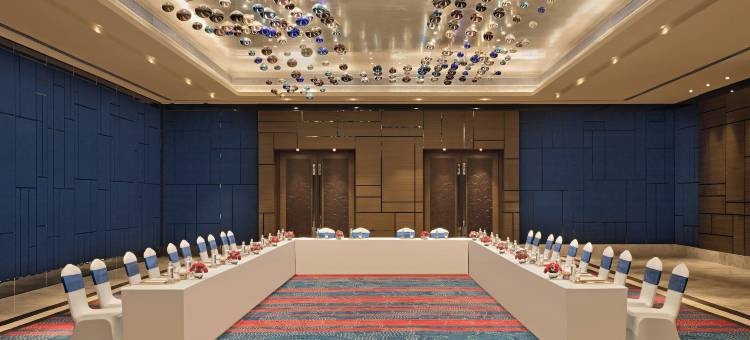 班加罗尔怀特菲尔德喜来登大酒店及会议中心(Sheraton Grand Bengaluru Whitefield Hotel & Convention Center)图片