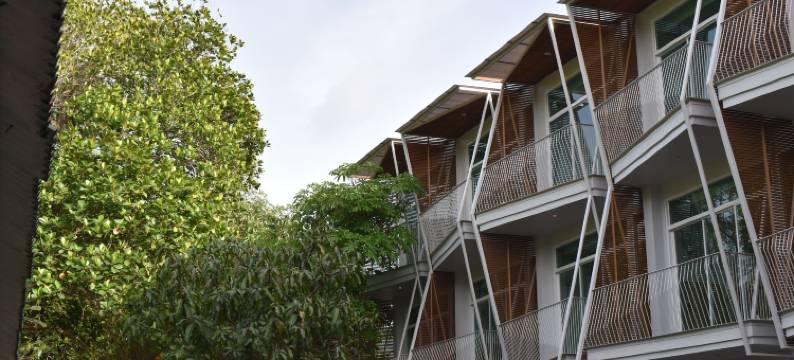 龟岛赛丽小屋度假村(Sairee Hut Resort Koh Tao)图片