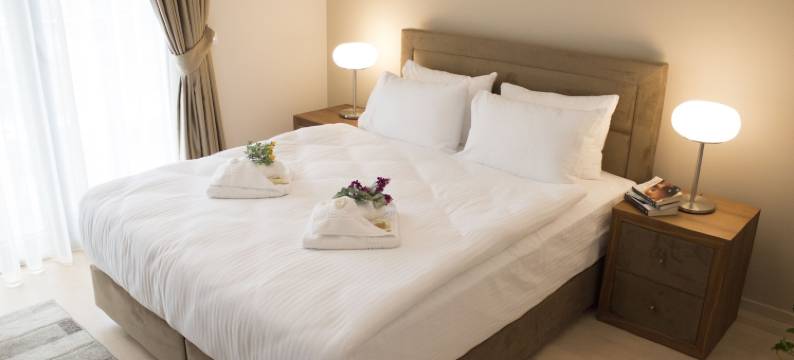 国会套房酒店(Capitol Suites)图片