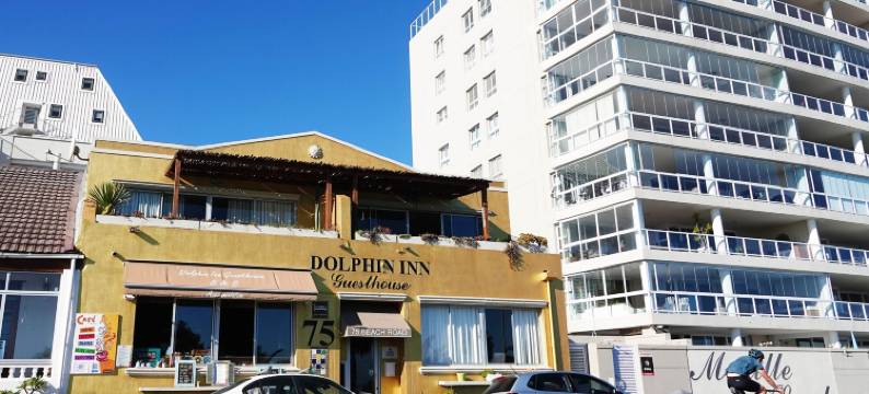 海豚宾馆酒店(Dolphin Inn Guesthouse)图片