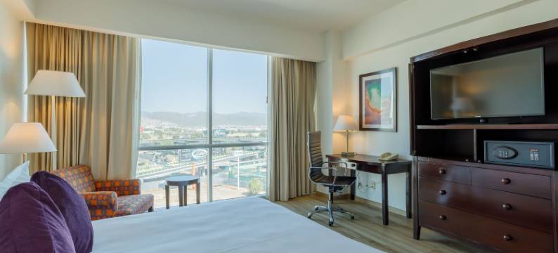 帕丘卡卡米诺里尔酒店(Camino Real Pachuca)图片