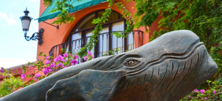 精选 O 卡波圣卢卡斯贝拉之家精品酒店(Collection O Casa Bella Hotel Boutique, Cabo San Lucas)图片
