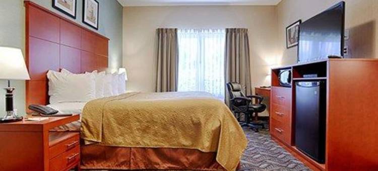 凯艺酒店(Quality Inn Southampton)图片