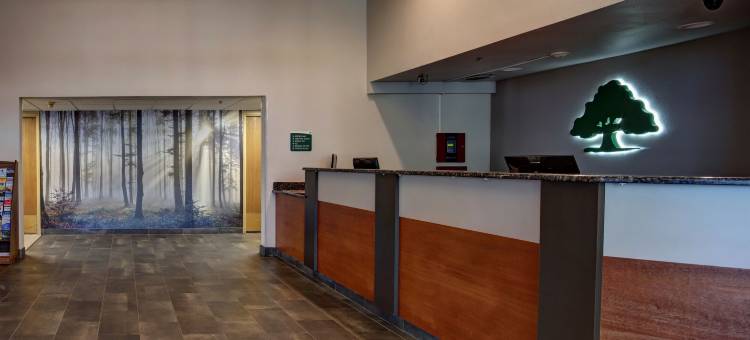 阿尔伯克基绿树旅馆(GreenTree Inn Albuquerque North I-25)图片