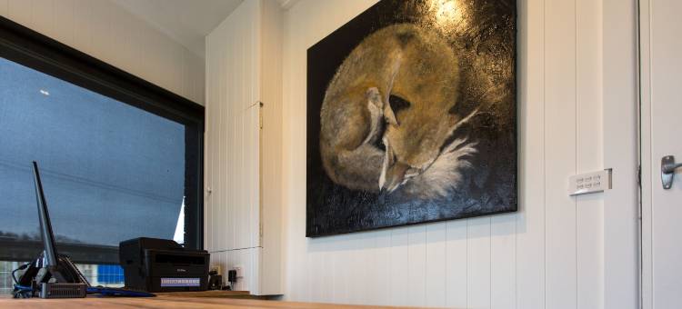 逃跑狐狸 - 基尔摩汽车旅馆(Fox on the Run - Motel Kilmore)图片