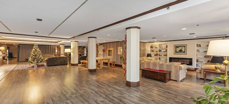 贝德福德丽晶大酒店(The Bedford Regency Hotel)图片