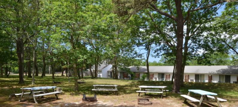 蓝海豚酒店(Blue Dolphin Inn)图片