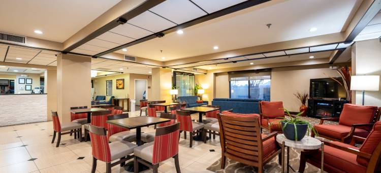 欧佩莱卡-奥本舒适酒店(Comfort Inn Opelika - Auburn)图片