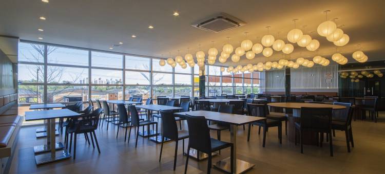 Criciúma达洛特酒店(Hotel Darolt Criciúma)图片