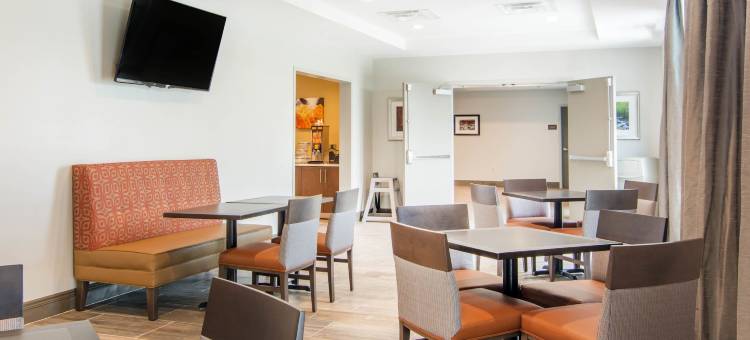舒适套房旅馆(Comfort Inn & Suites East Ellijay)图片