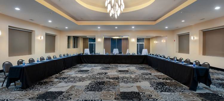 智选假日套房酒店亚特兰大市中心(Holiday Inn Express & Suites Atlanta Downtown)图片