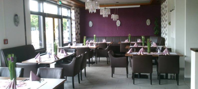 欧罗帕肯赫酒店(Europa Kehl Hotel)图片