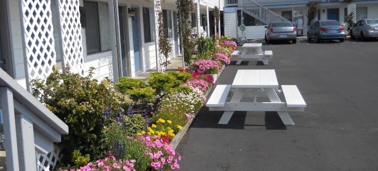 Super 8 by Wyndham Florence or图片