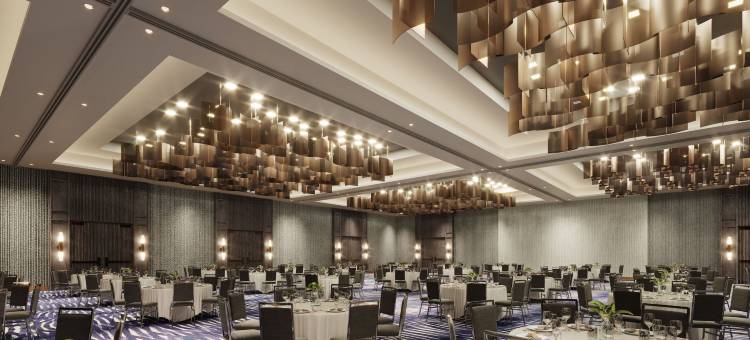 湾城-休斯顿凯悦酒店(Hyatt Regency Baytown Houston)图片