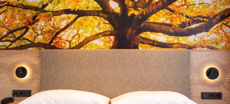 哈尼大磨坊酒店(Hotel Garni Grundmühle)图片