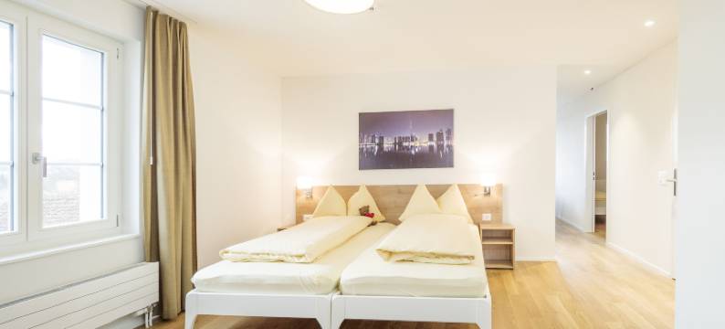 巴仁酒店及公寓(Aparthotel Bären)图片