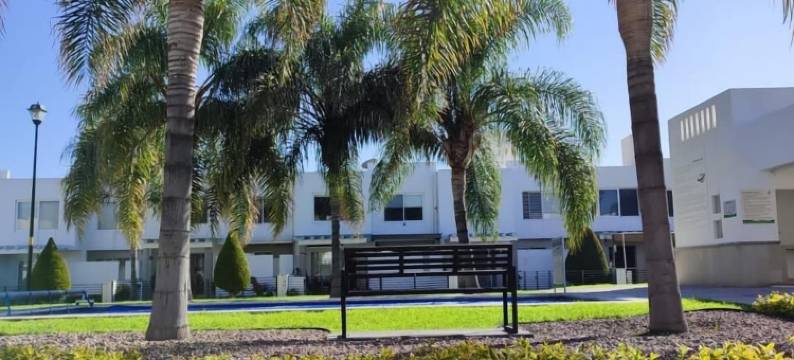 劳雷尔房子(Casa Laurel)图片