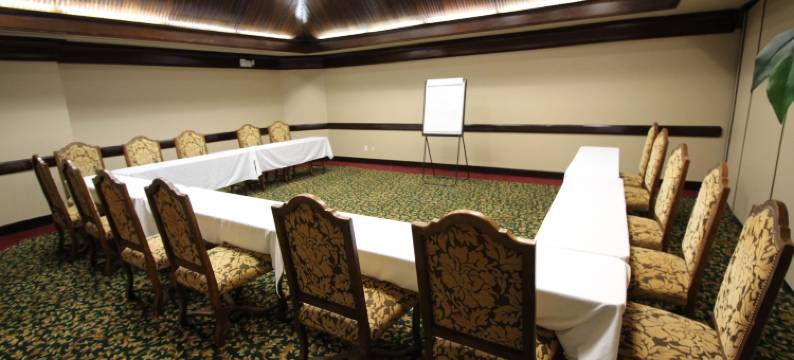 马格努森大酒店及会议中心(Magnuson Grand Hotel and Conference Center Tyler)图片