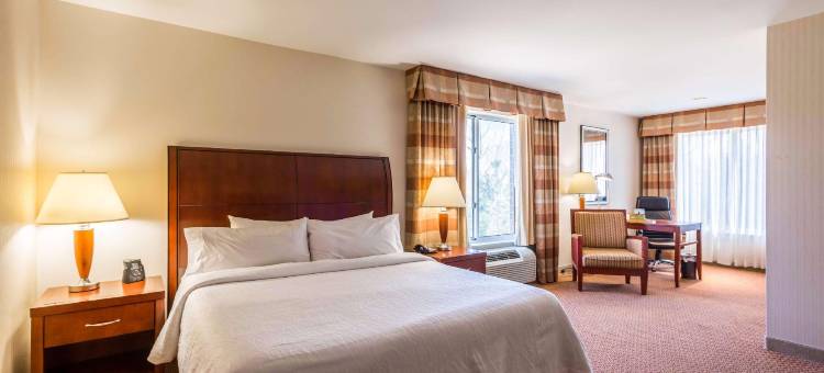 密尔沃基西北会议中心希尔顿花园酒店(Hilton Garden Inn Milwaukee Northwest Conference Center)图片