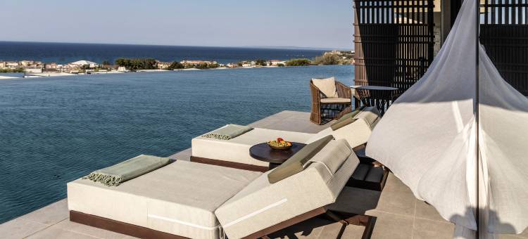 为成人设计的King Jason Zante(King Jason Zante – Designed for Adults)图片