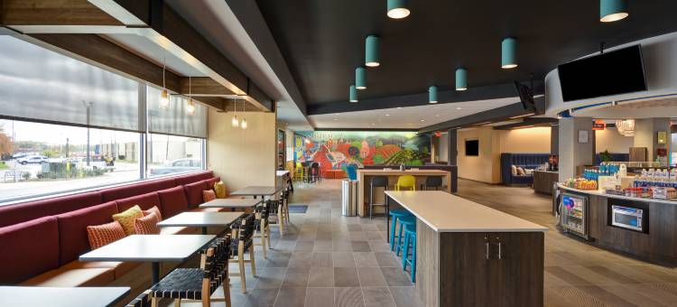 TRU - 温彻斯特希尔顿酒店(Tru by Hilton Winchester)图片