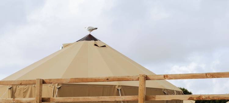 YHA青年旅馆-特瑞亚尔侬(YHA Treyarnon Bay)图片