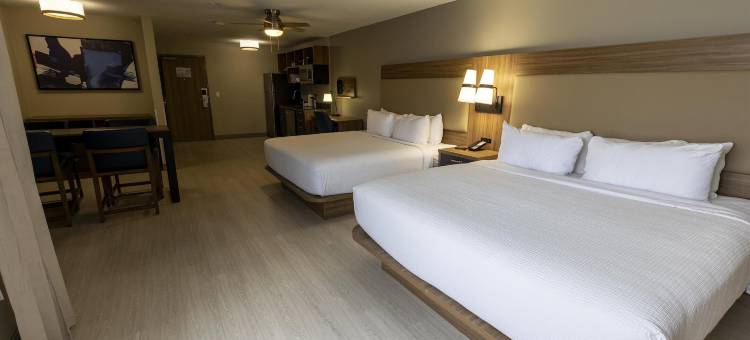 Sonesta ES Suites 拉斐特机场长住酒店(Sonesta ES Suites Lafayette Airport Extended Stay)图片