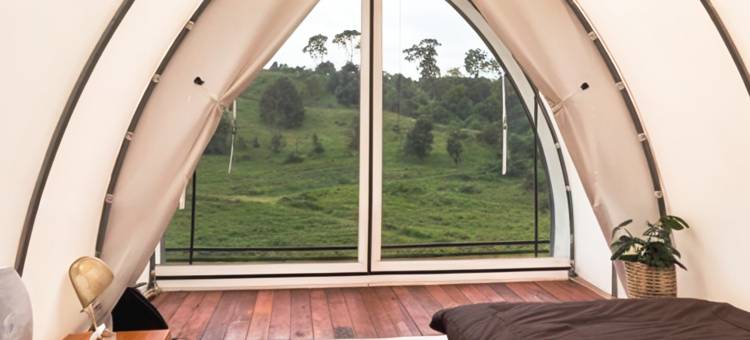 尼莫茶园度假村(Nimo Tea Resort)图片