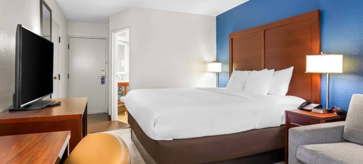 格林维尔海伍德购物中心舒适酒店(Comfort Inn Greenville - Haywood Mall)图片