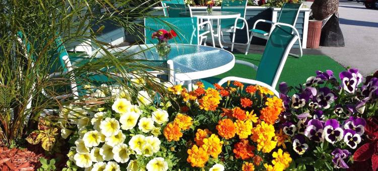 埃尔斯沃思酒店(Colonial Inn Ellsworth)图片