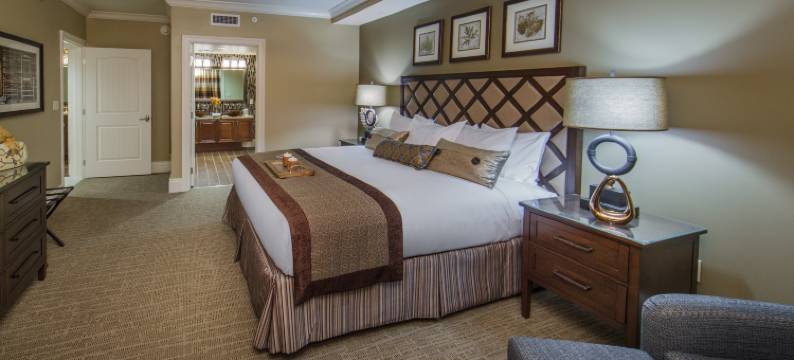 大雾山假日酒店&度假村(Holiday Inn Club Vacations SMOKY MOUNTAIN RESORT by IHG)图片