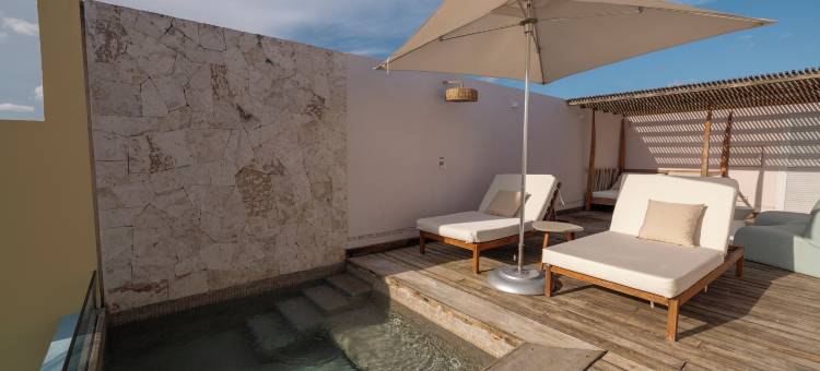 伊贝罗斯塔精选哈仙达多米尼酒店 - 全包式(Iberostar Selection Hacienda Dominicus - All Inclusive)图片