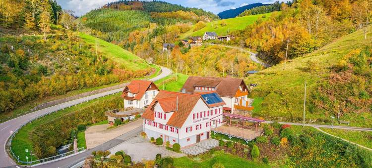 布鲁姆旅馆(Hotel - Gasthof Blume)图片