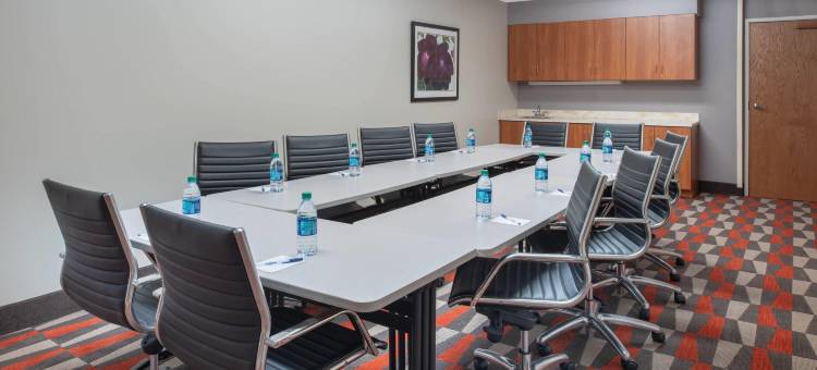 斯普林菲尔德温德姆麦客达套房酒店(Microtel Inn & Suites by Wyndham Springfield)图片