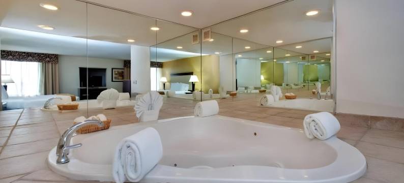 绍姆堡丽笙酒店(Radisson Hotel Schaumburg)图片