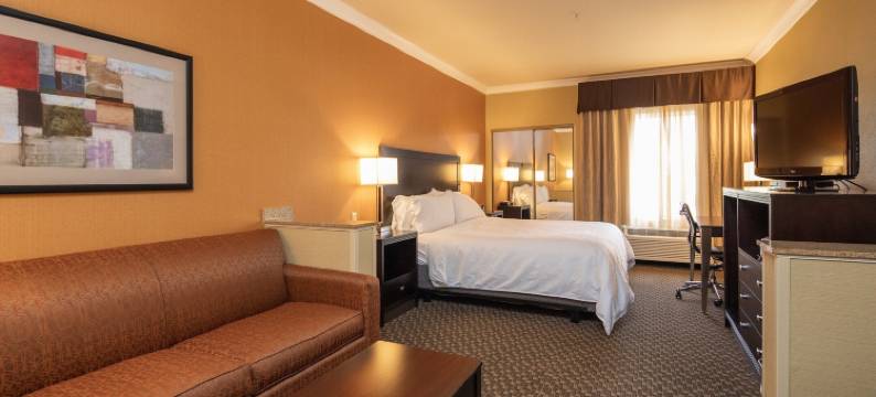 卡斯特罗谷智选假日酒店(Holiday Inn Express CASTRO VALLEY - I-580 by IHG)图片