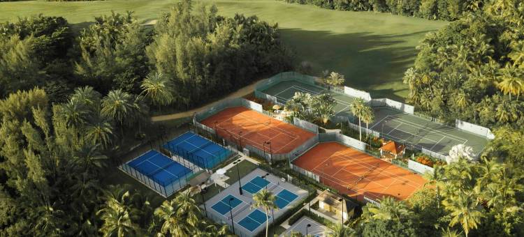 波多黎各四季度假村及住宅(Four Seasons Resort and Residence Puerto Rico)图片