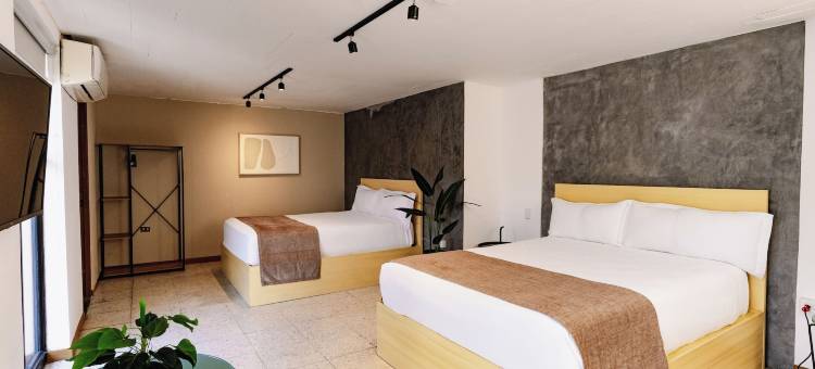 Cardedeu快速酒店(Cardedeu Express Hotel)图片