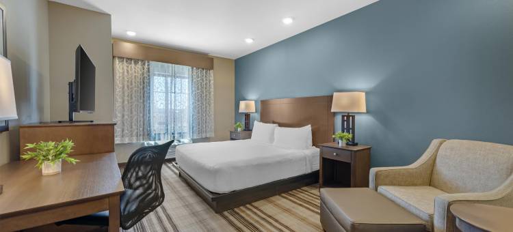 奥弗兰贝斯特韦斯特优质旅馆(Best Western Plus Overland Inn)图片