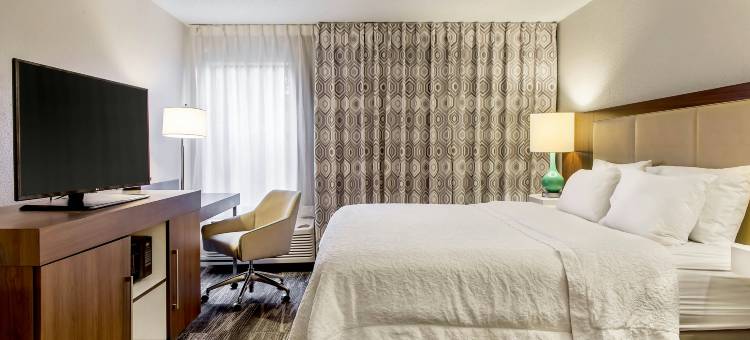 明尼阿波利斯圣保罗伍德伯里欢朋酒店(Hampton Inn Minneapolis-St. Paul/Woodbury)图片