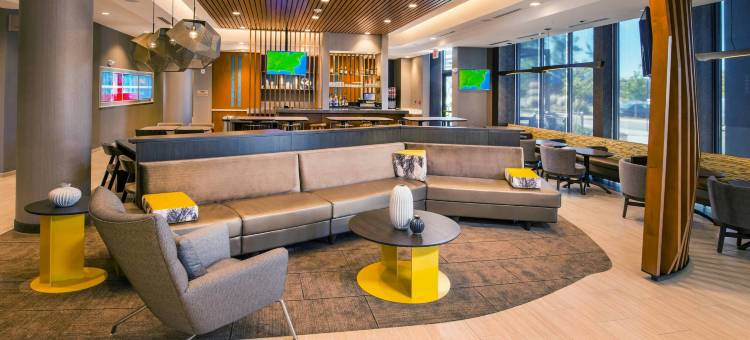 盖恩斯维尔干草市场SpringHill Suites酒店(SpringHill Suites Gainesville Haymarket)图片