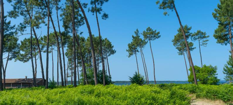 Les Cottages du Lac M3 Privilège图片